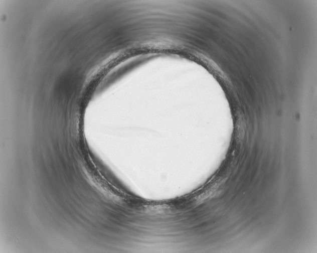 X0000085250446200704092053