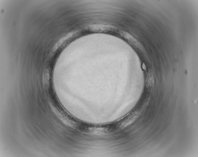 X0000085250448200704092053