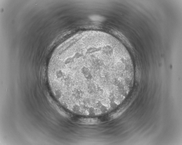 X0000085250449200704092053