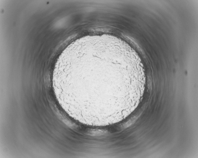 X0000085250453200704092053