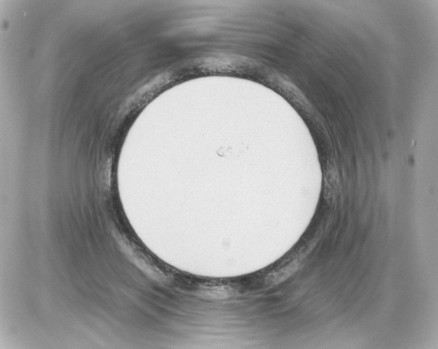 X0000085250454200704092053