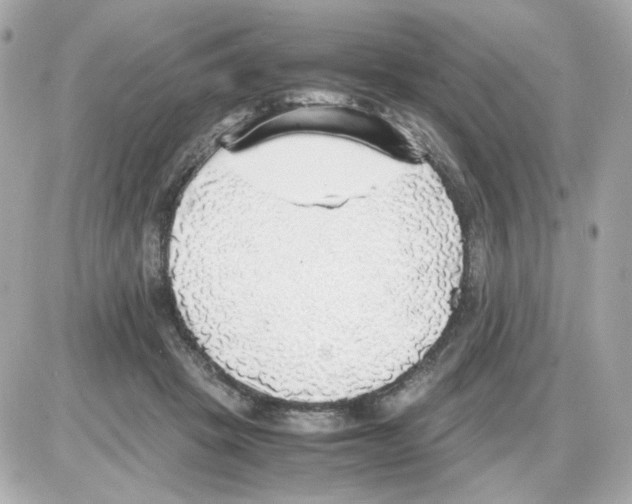 X0000085250457200704092053