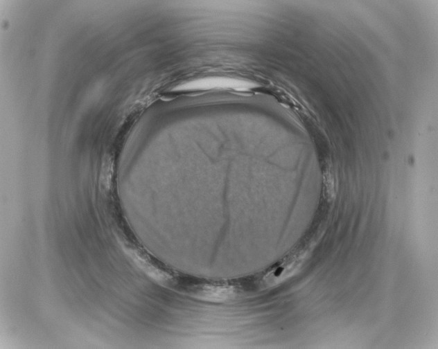 X0000085250458200704092053