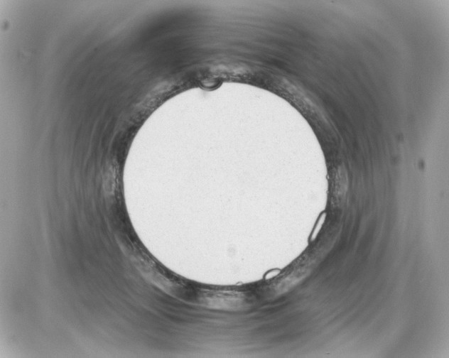 X0000085250463200704092053