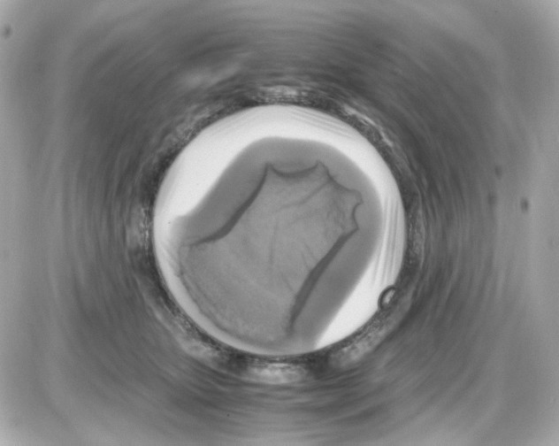 X0000085250467200704092053