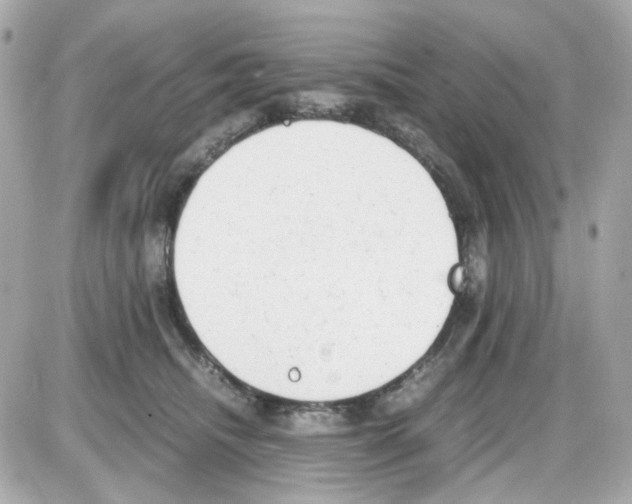 X0000085250468200704092053