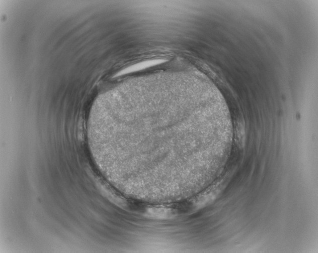 X0000085250470200704092053