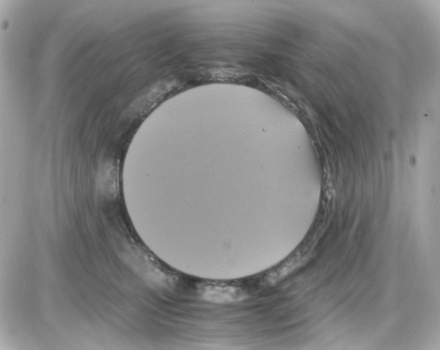 X0000085250471200704092053