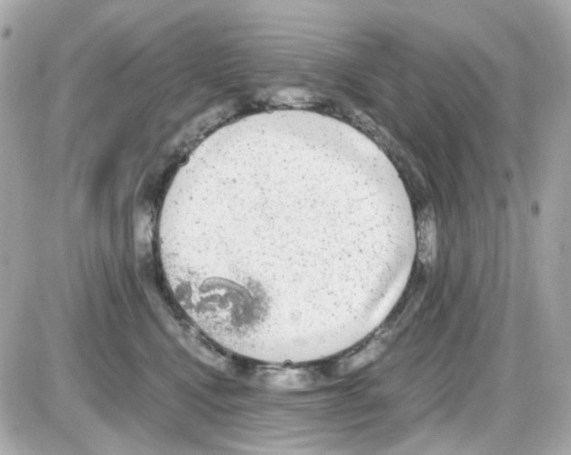 X0000085250472200704092053