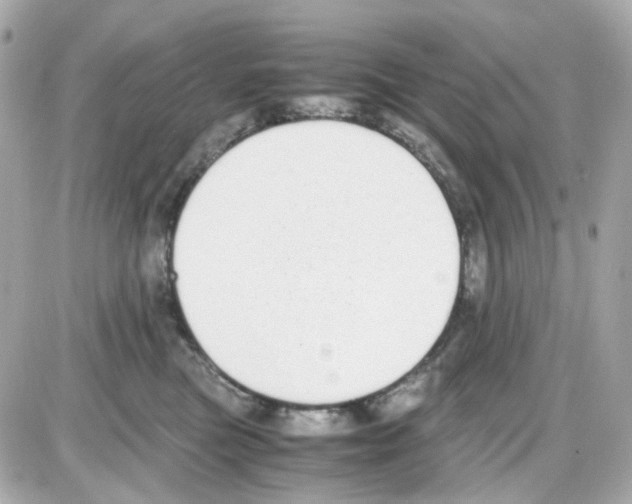 X0000085250473200704092053