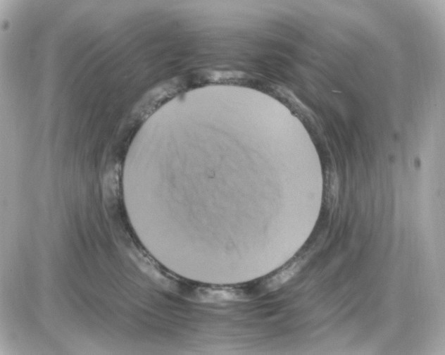 X0000085250475200704092053