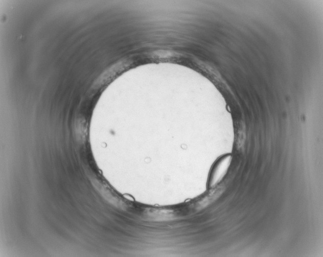 X0000085250476200704092053