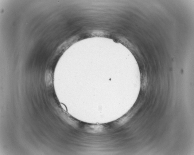 X0000085250478200704092053