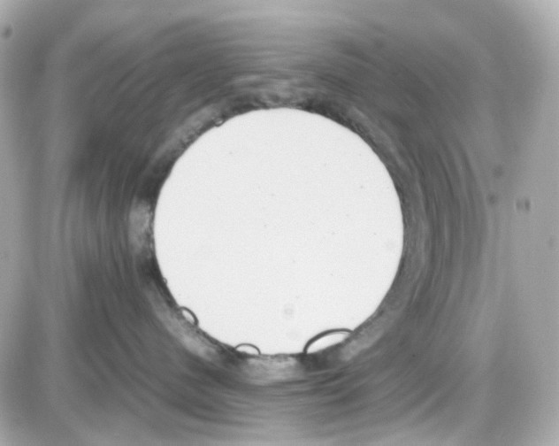 X0000085250480200704092053