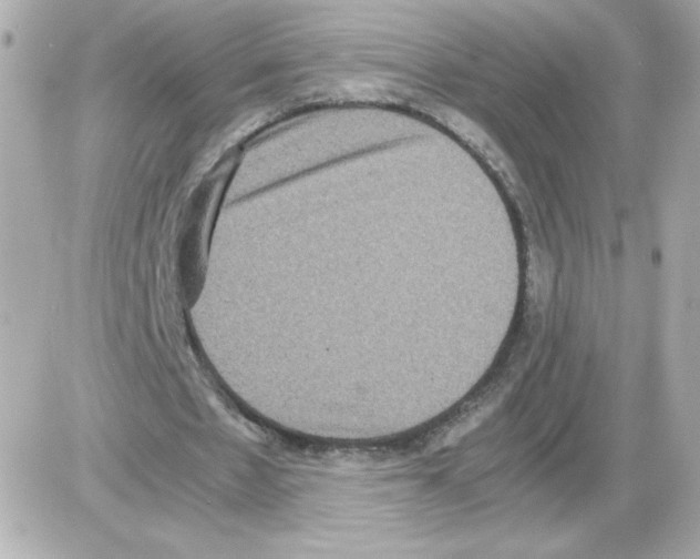 X0000085250481200704092053