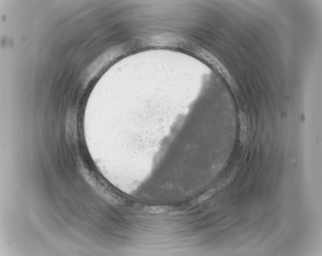 X0000085250482200704092053