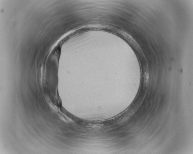 X0000085250484200704092053