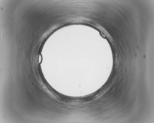 X0000085250485200704092053