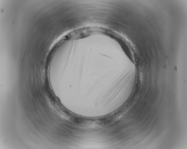 X0000085250488200704092052