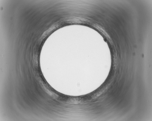 X0000085250489200704092052