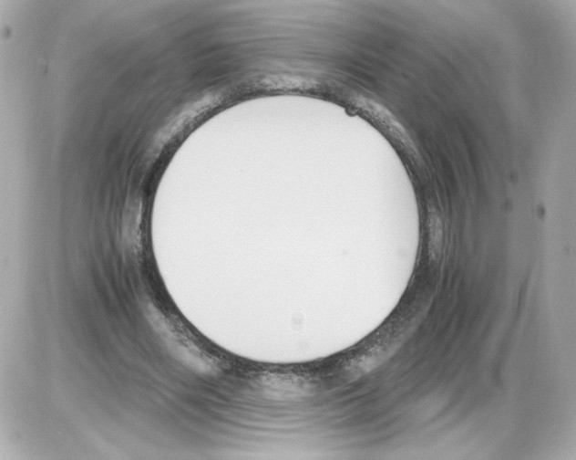 X0000085250490200704092052