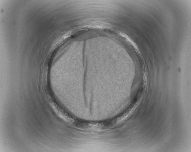 X0000085250493200704092052