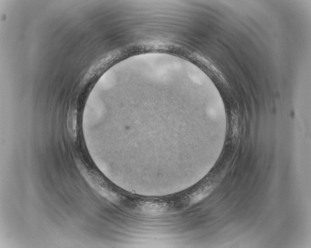 X0000085250494200704092052