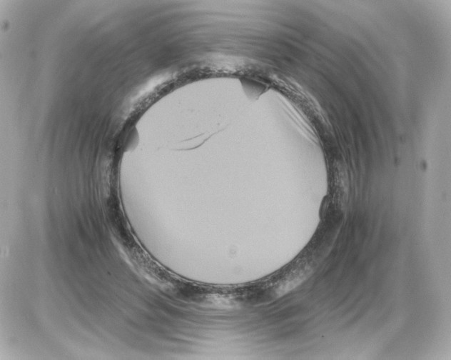 X0000085250496200704092052