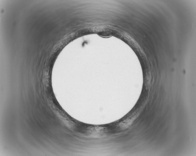 X0000085250497200704092052