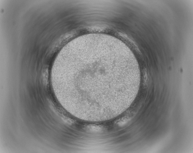 X0000085250498200704092052