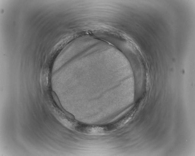 X0000085250501200704092052