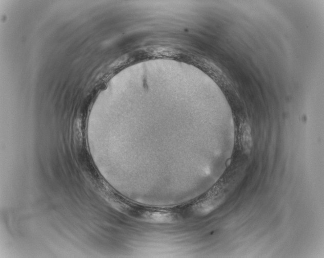 X0000085250506200704092052