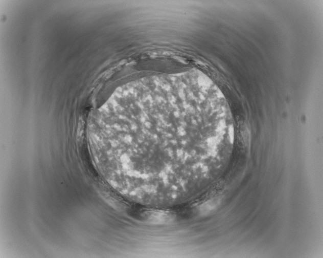 X0000085250507200704092052