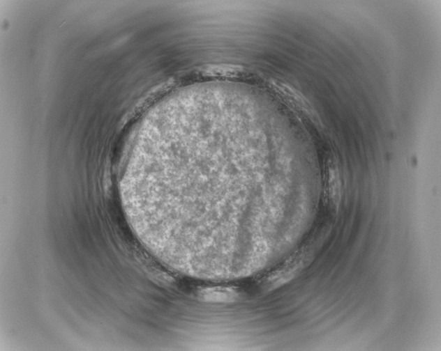 X0000085250508200704092052