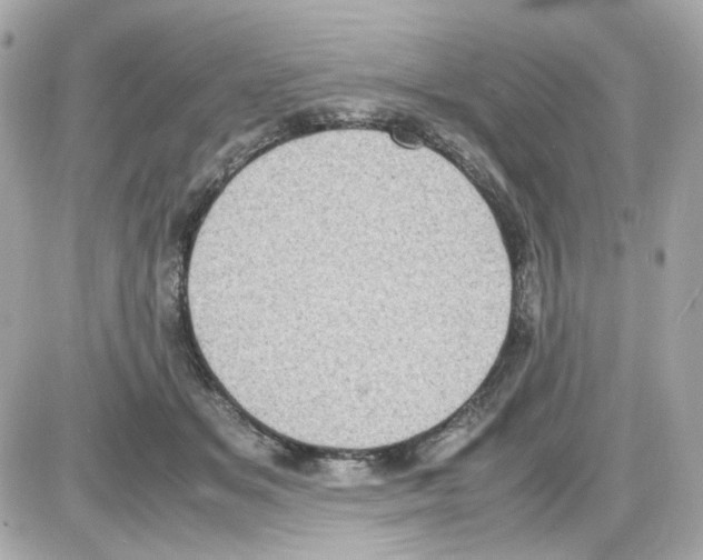 X0000085250509200704092052