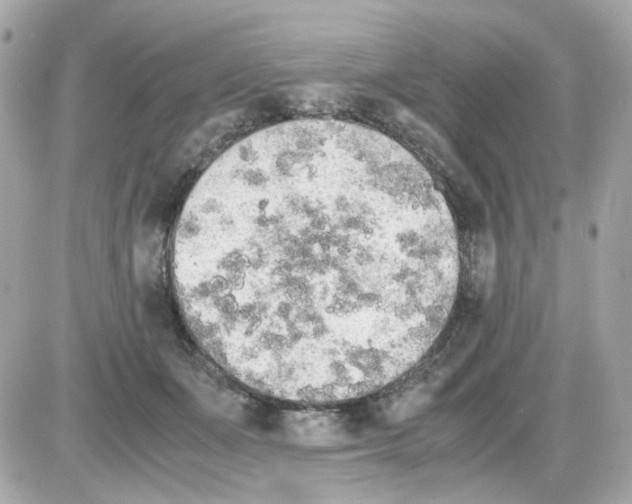 X0000085250511200704092052