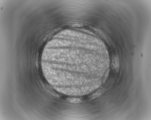 X0000085250512200704092052