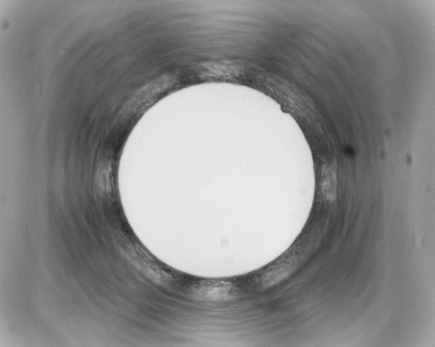 X0000085250514200704092052