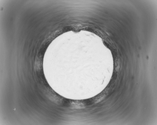 X0000085250515200704092052