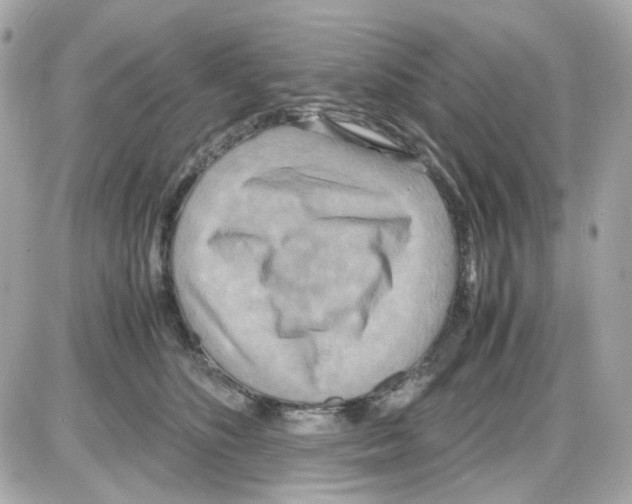 X0000085250516200704092052