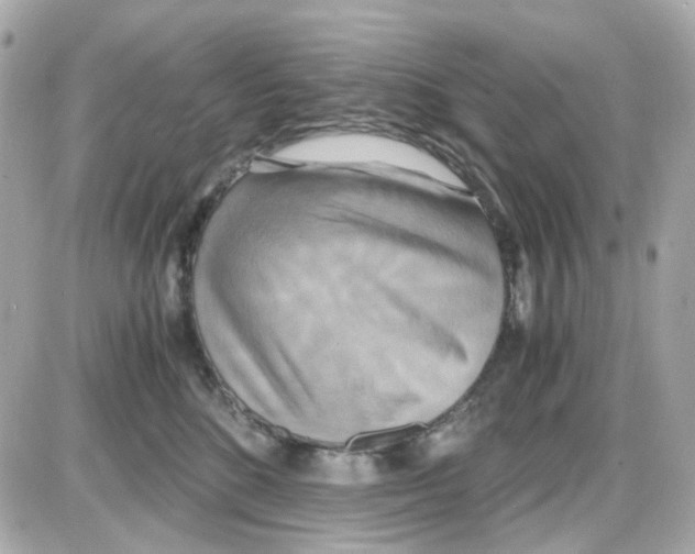 X0000085250520200704092052