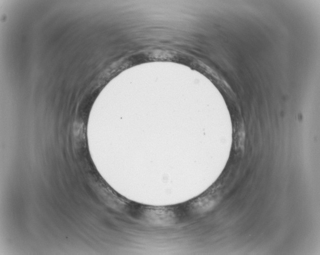 X0000085250521200704092052