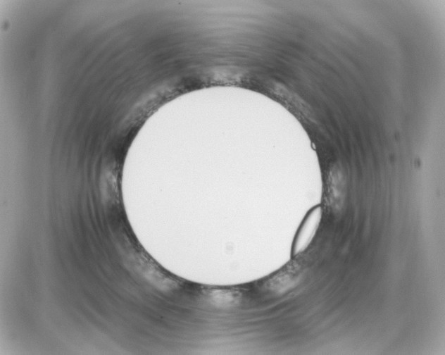 X0000085250522200704092052