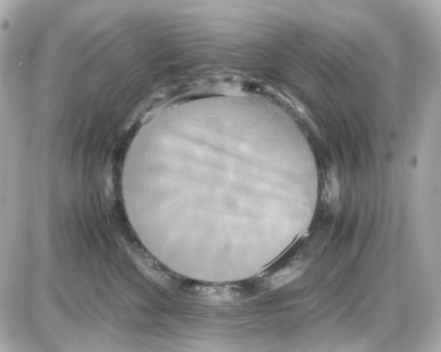 X0000085250524200704092052