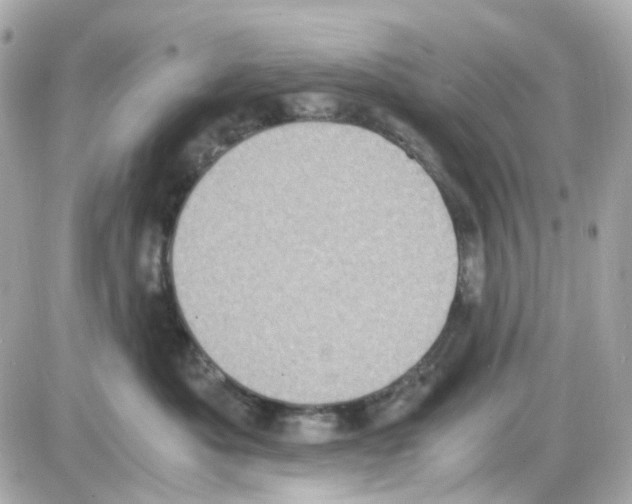 X0000085250525200704092052