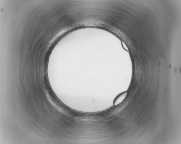 X0000085250530200704092051