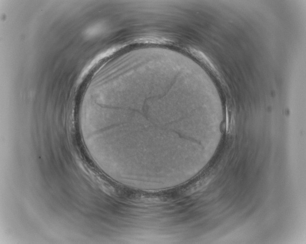 X0000085250531200704092051