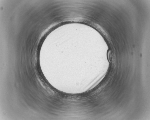 X0000085250532200704092051