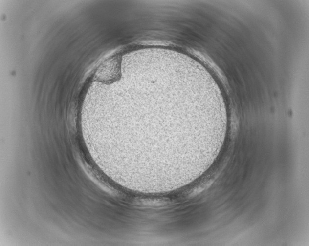 X0000085250533200704092051