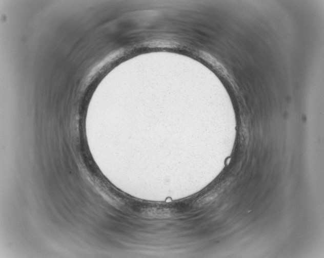 X0000085250535200704092051